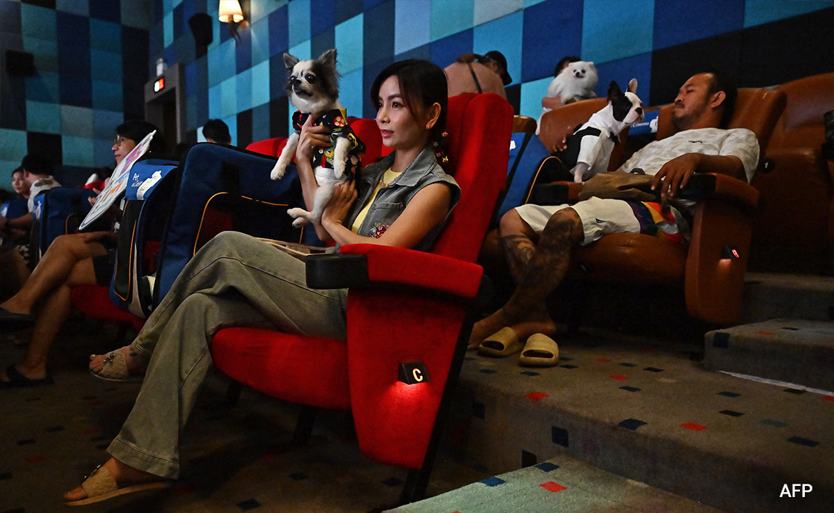 In Pics: First Pet-Friendly Theatre In Thailand Opens For Four-Legged Film-Goers