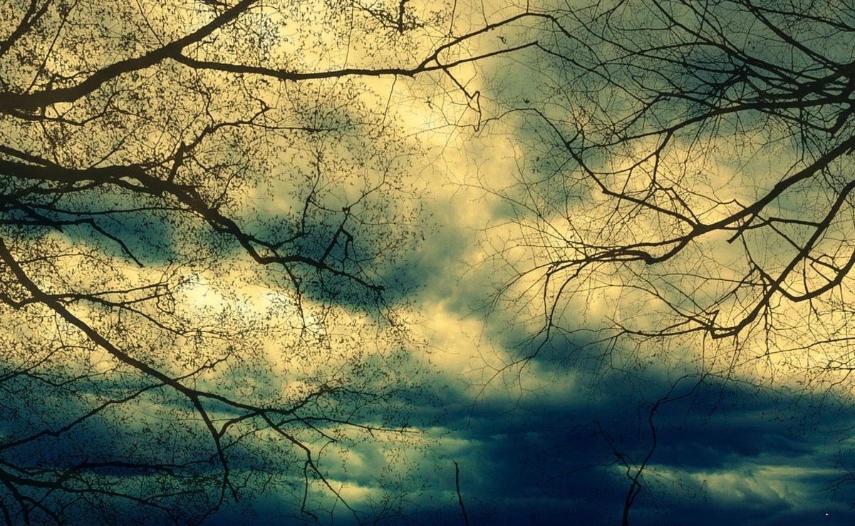 Live Updates: Cyclone Biparjoy To Intensify In next 36 Hours