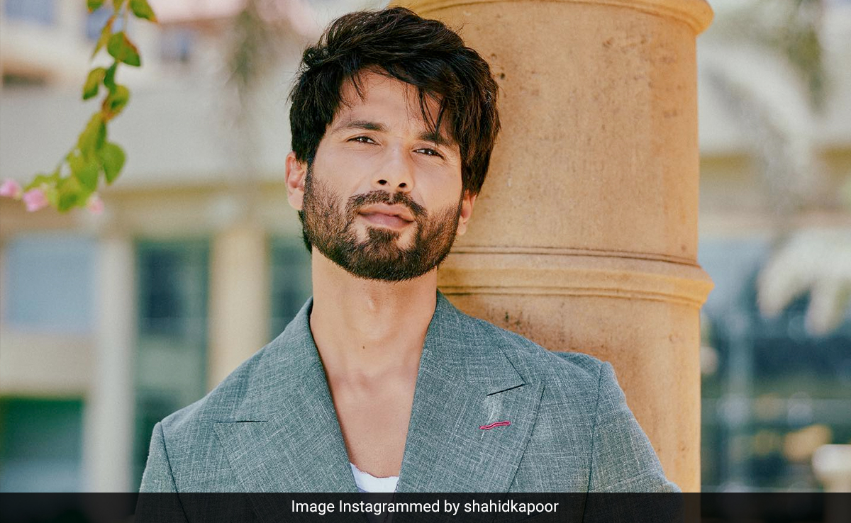 Shahid Kapoor's Concept Of Marriage Outrages The Internet: "Don't Have To Be Kabir Singh IRL"