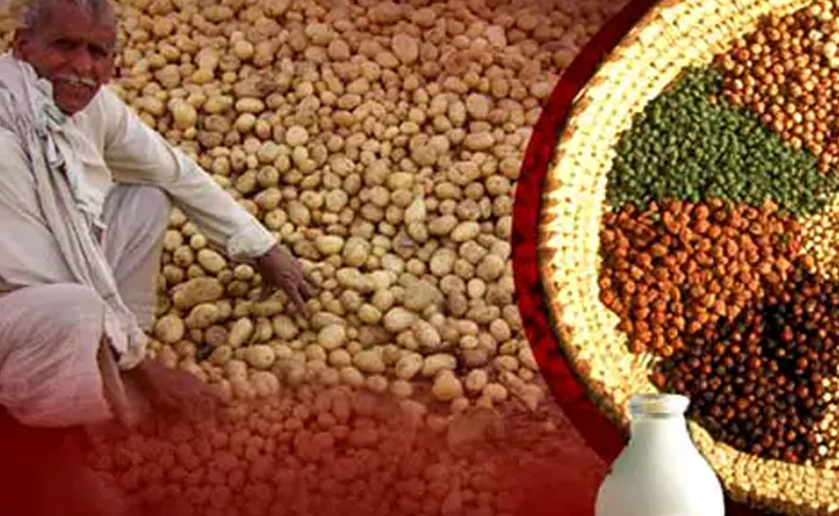 WPI Inflation Data: थोक मुद्रास्फीति सात महीने बाद सकारात्मक दायरे में आई, नवंबर में 0.26% रही