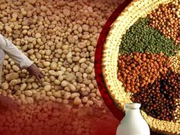 WPI Inflation Data: राहत भरी खबर... जुलाई में थोक महंगाई दर घटकर 2.04% पर आई WPI Inflation Data: राहत भरी खबर... जुलाई में थोक महंगाई दर घटकर 2.04% पर आई