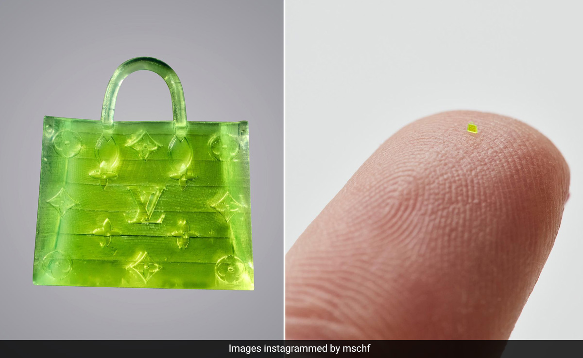 नीलामी में बिका ये नमक के दाने से भी छोटा बैग, कीमत सुन उड़ जाएंगे होश, लोगों ने पूछा- आखिर, किस काम आएगा ये?