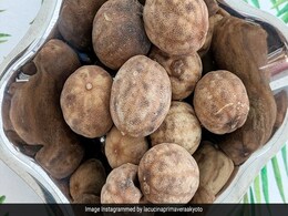सूखे हुए नींबू को फेंक देते हैं आप तो कर रहे हैं गलती, Dried Lemons भी कई तरह से आ सकते हैं काम  सूखे हुए नींबू को फेंक देते हैं आप तो कर रहे हैं गलती, Dried Lemons भी कई तरह से आ सकते हैं काम