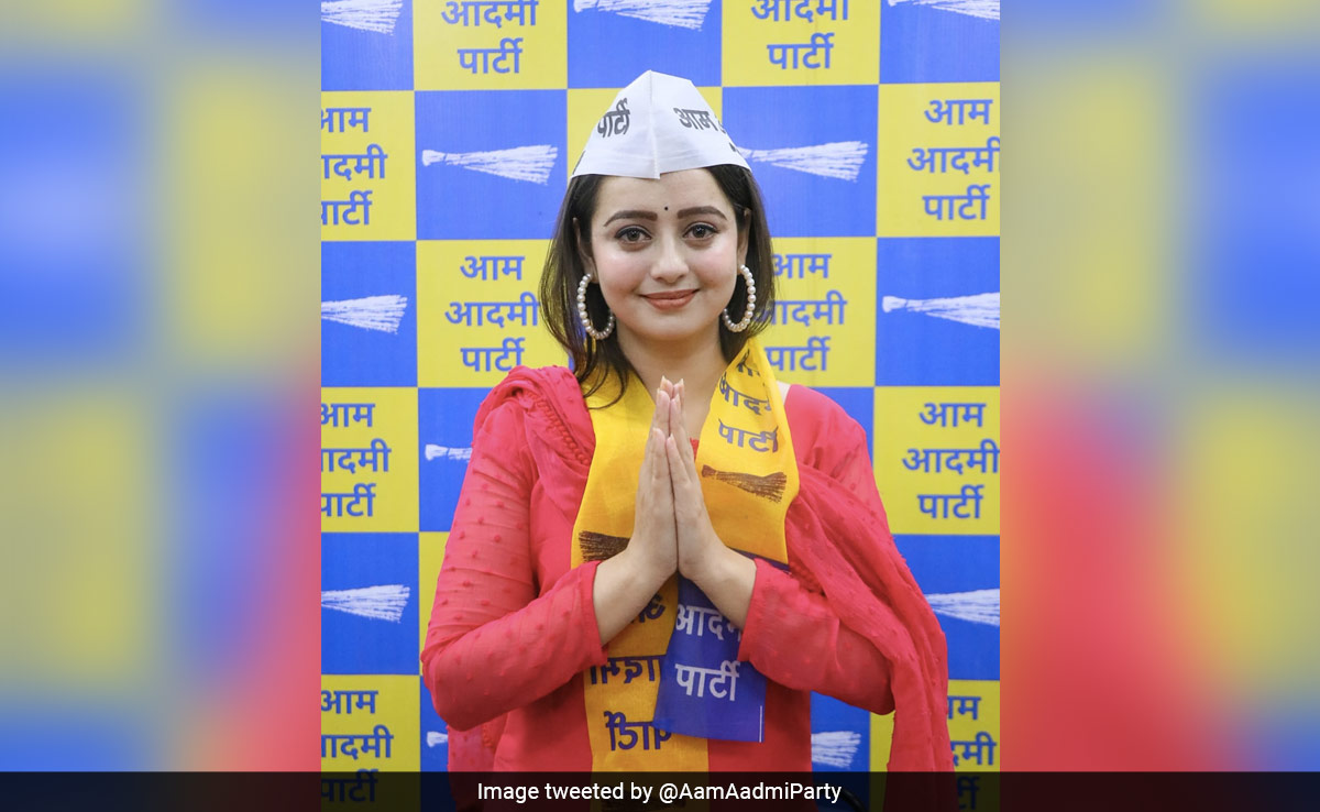 TV Actor Chahat Pandey Joins AAP, Says Madhya Pradesh Needs Her