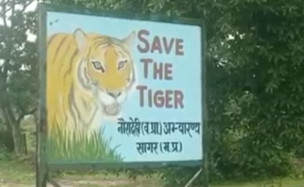 बारिश के मौसम में नौरादेही सहित मध्य प्रदेश के सभी टाइगर रिजर्व में सैलानियों का प्रवेश बंद