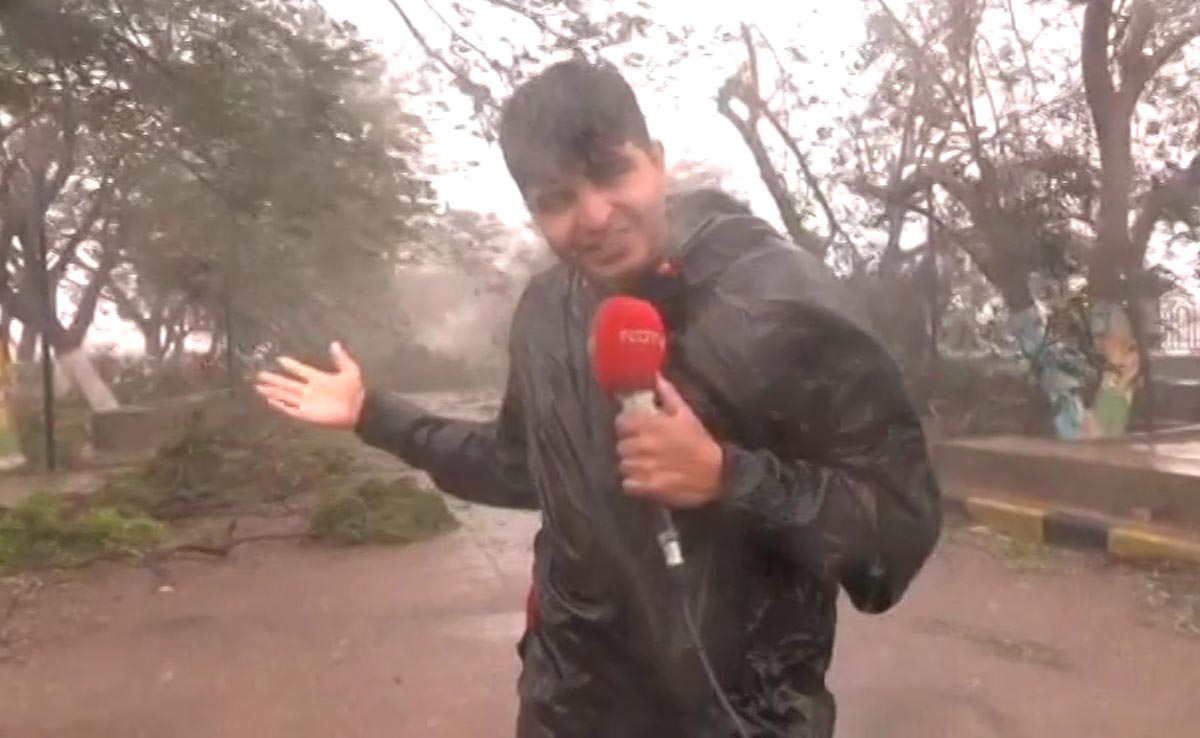 Cyclone Biparjoy Ground Report: Trees Uprooted, Heavy Rain In Gujarat
