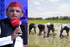 NDTV Conclave में बोले अखिलेश यादव - "BJP सरकार ने किसानों के लिए एक मंडी नहीं बनवाई" NDTV Conclave में बोले अखिलेश यादव - "BJP सरकार ने किसानों के लिए एक मंडी नहीं बनवाई"