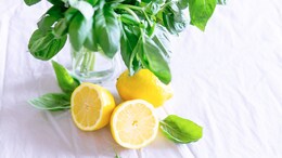 Lemon Melon Is The New Innovation By Japanese Farmers! Guess The Price