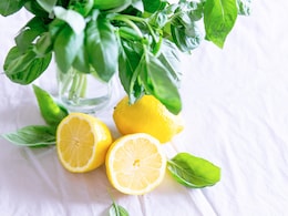 Lemon Melon Is The New Innovation By Japanese Farmers! Guess The Price Lemon Melon Is The New Innovation By Japanese Farmers! Guess The Price