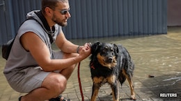 Till Death Do Us Bark: Brazilian State Lets Pets Be Buried With Owners