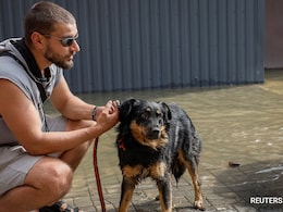 Till Death Do Us Bark: Brazilian State Lets Pets Be Buried With Owners