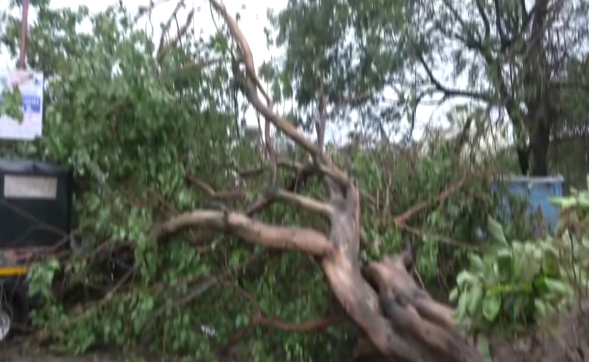 Cyclone Biparjoy Highlights: Storm Weakens To Severe After Landfall, Widespread Devastation In Gujarat