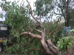 Cyclone Biparjoy Highlights: Storm Weakens To Severe After Landfall, Widespread Devastation In Gujarat Cyclone Biparjoy Highlights: Storm Weakens To Severe After Landfall, Widespread Devastation In Gujarat