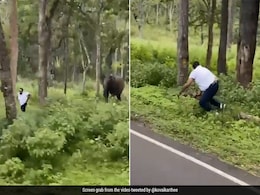 गलती से जंगली हाथियों के इलाके में घुस गया शख्स, लोग बोले- जबरदस्ती किसी के घर में घुसेंगे तो यही होगा गलती से जंगली हाथियों के इलाके में घुस गया शख्स, लोग बोले- जबरदस्ती किसी के घर में घुसेंगे तो यही होगा