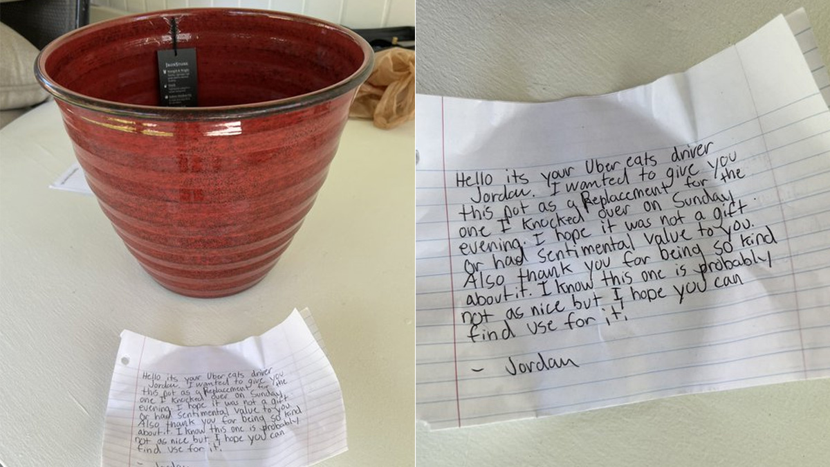 Viral: Food Delivery Person Breaks Customer's Flower Pot - Here's What Happened Next