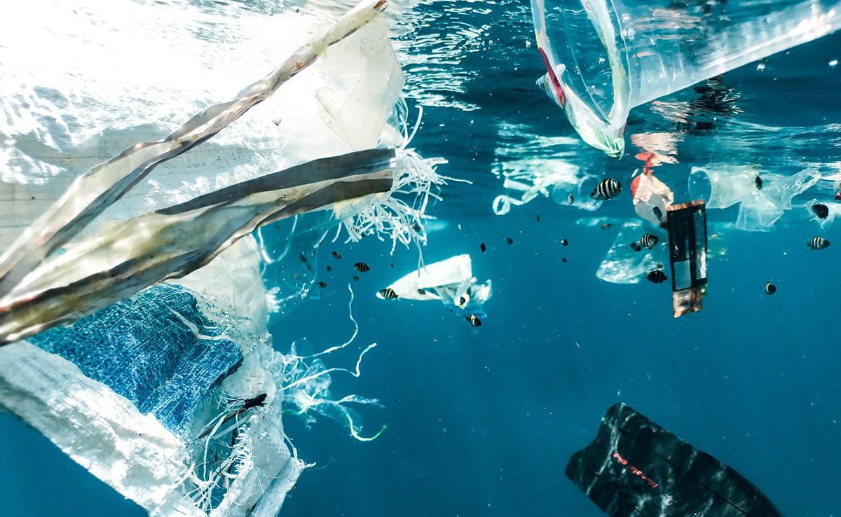 World Environment Day 2023: Theme, Significance And All You Need To Know