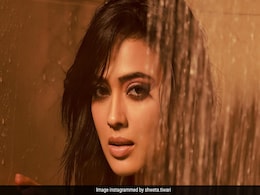 बिग बॉस की सात फिमेल विनर्स, किसी के करियर को मिली नई पहचान तो कोई हो गई ग्लैमर की दुनिया से दूर बिग बॉस की सात फिमेल विनर्स, किसी के करियर को मिली नई पहचान तो कोई हो गई ग्लैमर की दुनिया से दूर
