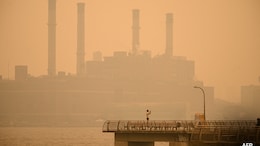 Smog Alarm! 5 Nutrition Tips for Immunity Against Diwali Air Pollution