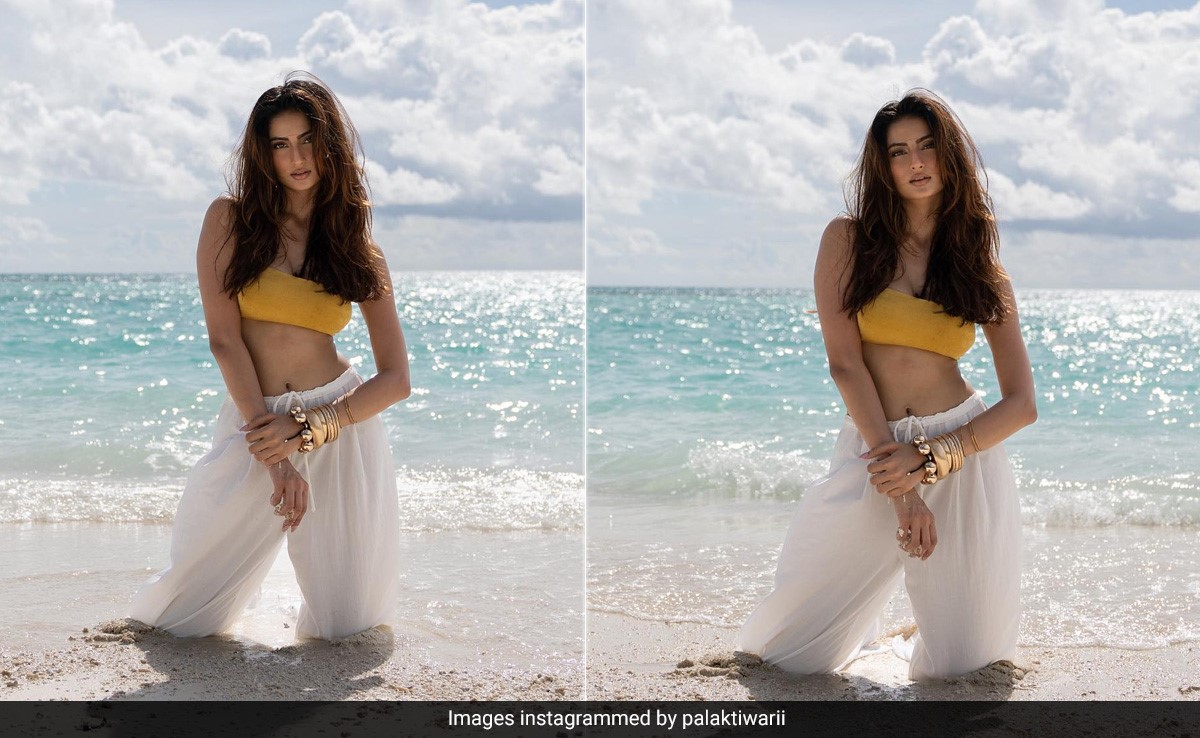 Palak Tiwari's Casual Beach Day Outfit Has Us All "Internally Smiling" For A Summer Just Like Hers