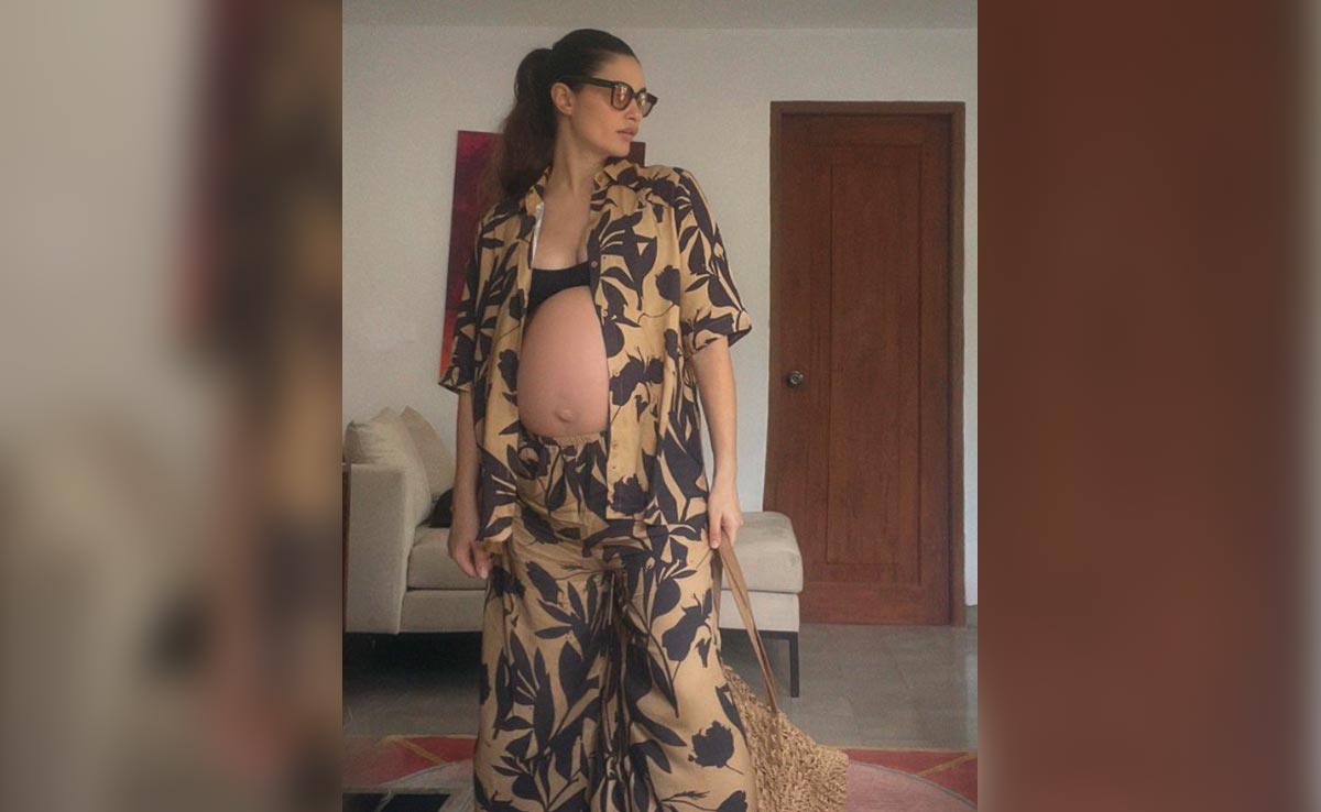 Arjun Rampal's Girlfriend Gabriella Replied To An Offensive Comment On Her Post Like This