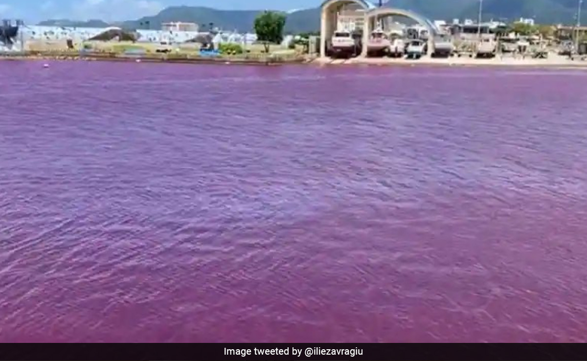 Watch: River In Japan Turns Blood Red After Beer Factory Leak, Locals Alarmed