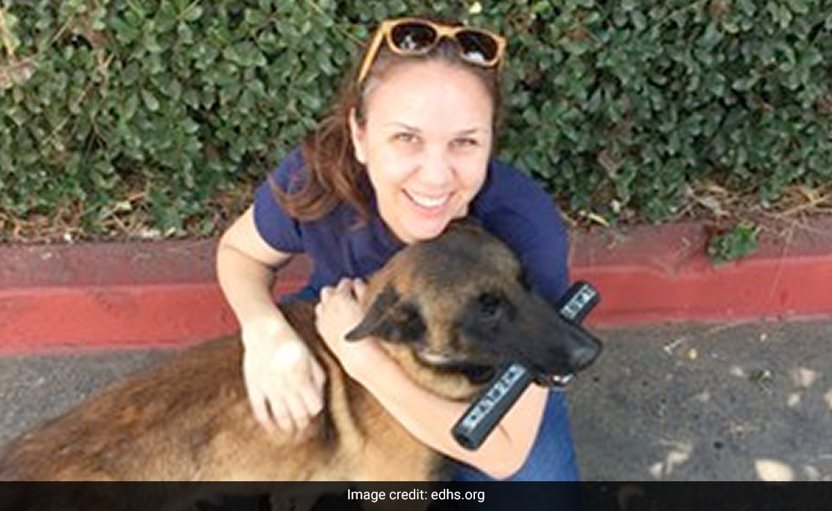 US High School Teacher Sent On Leave For Discussing Sexual Pleasure In Class