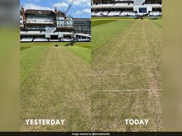 "Pitch Ready For WTC Final": Dinesh Karthik Shares Latest Photos From The Oval - See Pics