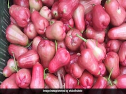 Water apple खाएंगे रोज तो Skin पर आएगा ग्लो, कब्ज हो जाएगी मिनटों में छूमंतर Water apple खाएंगे रोज तो Skin पर आएगा ग्लो, कब्ज हो जाएगी मिनटों में छूमंतर