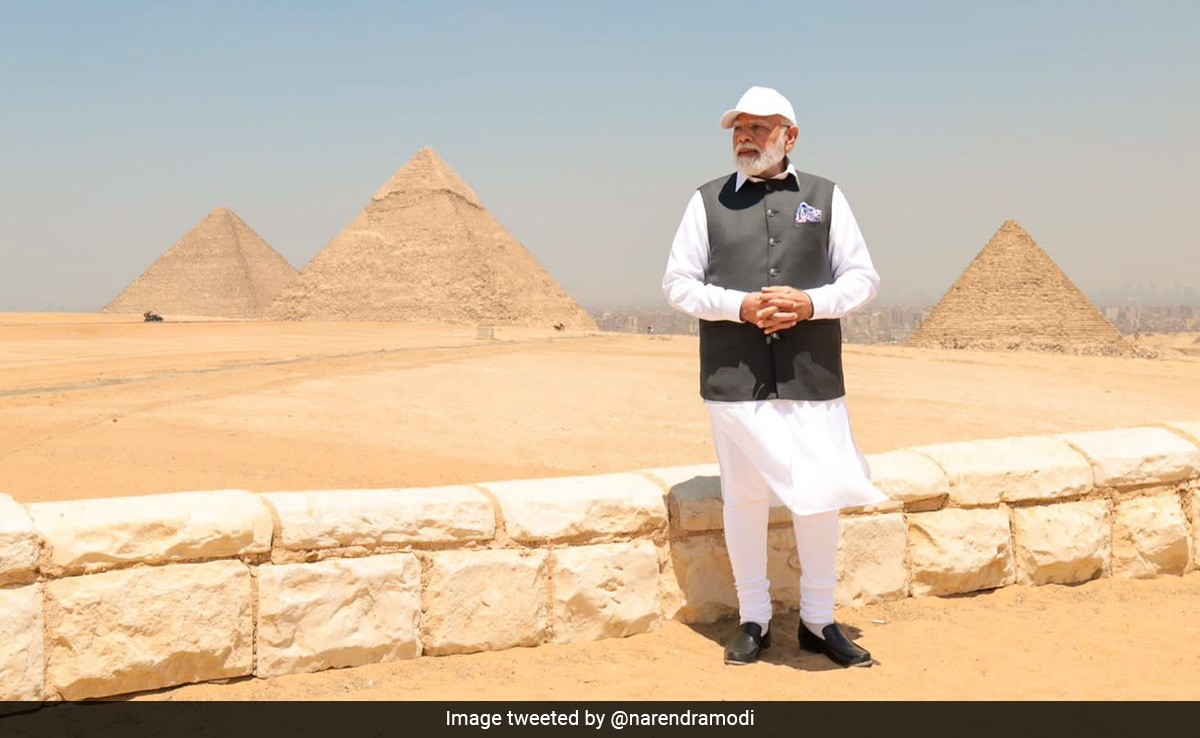 "You Are India's Hero": Indian Community In Egypt Hail PM Modi