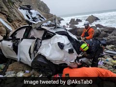 Indian-American Who Drove Tesla Off Cliff Barred From Practicing Medicine