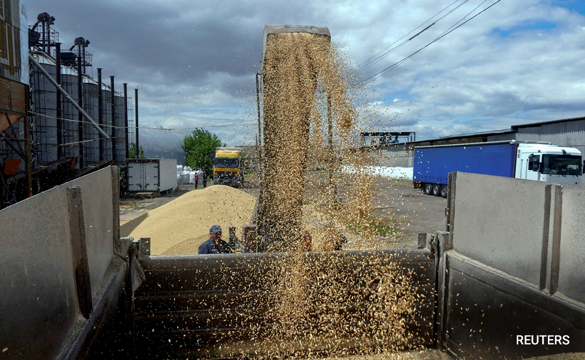 Amid Ongoing War, Ukraine Starts The 2023 Grain Harvest