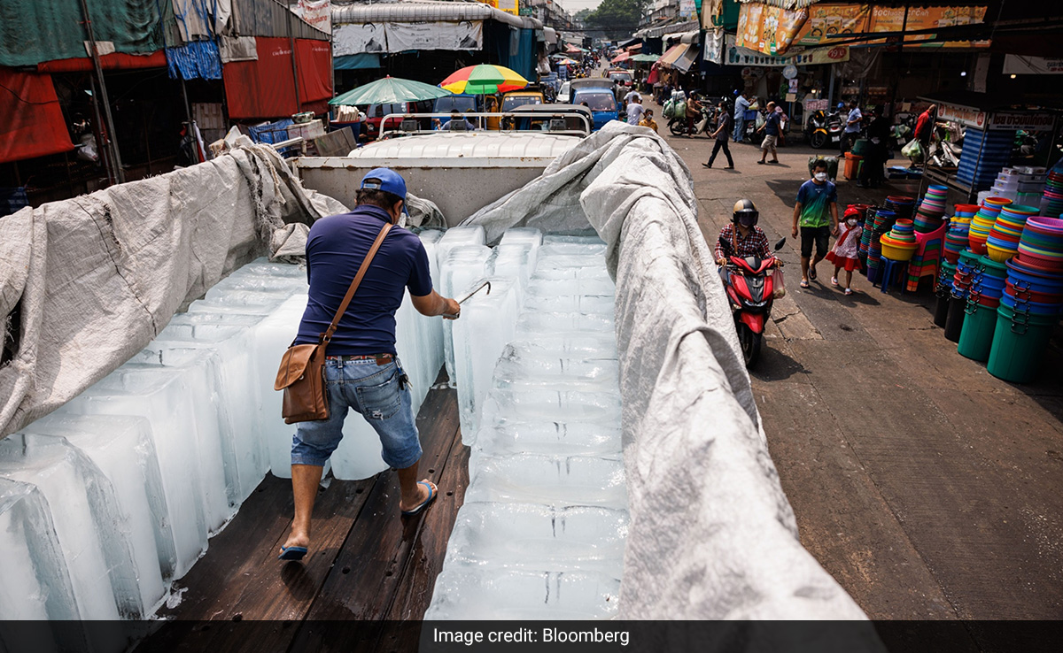 El Nino's Fierce Heat Carries New Risk Of Resurgent Deadly Viruses
