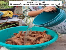 छुट्टी पर बाहर जा रहे हैं और पौधों को पानी देने की है टेंशन, तो यह तरीका आजमा कर देखिए, जब लौटेंगे हरे भरे मिलेंगे प्लांट्स छुट्टी पर बाहर जा रहे हैं और पौधों को पानी देने की है टेंशन, तो यह तरीका आजमा कर देखिए, जब लौटेंगे हरे भरे मिलेंगे प्लांट्स