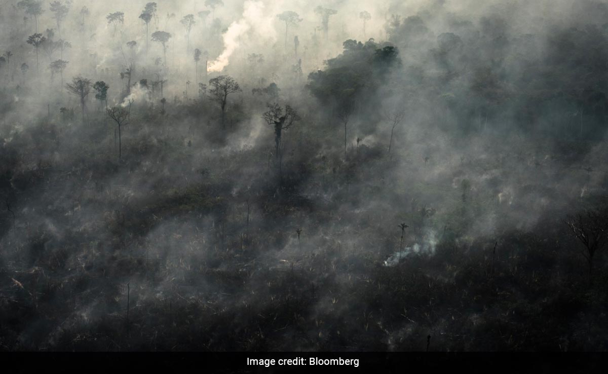 Humans Have Crossed 7 Of 8 "Planetary Boundaries". What It Means