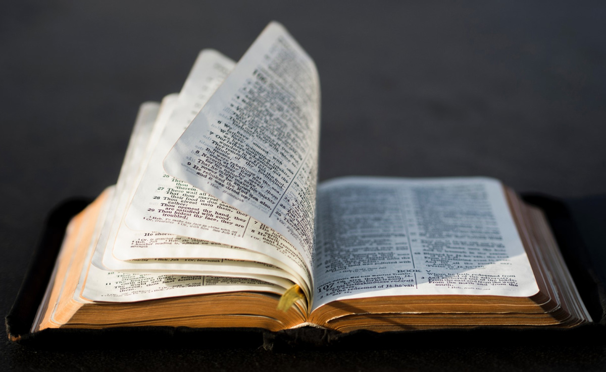 Primary Schools In US State Ban King James Bible For ''Vulgarity And Violence''