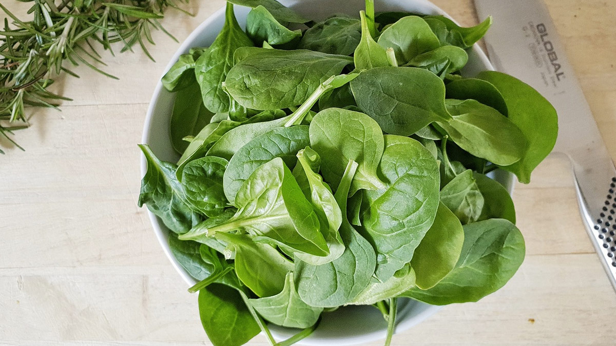 क्या आपके Kitchen में रखी पालक हो जाती हैं खराब? इस तरीके से करें स्टोर... हमेशा रहेगी ताज़ा