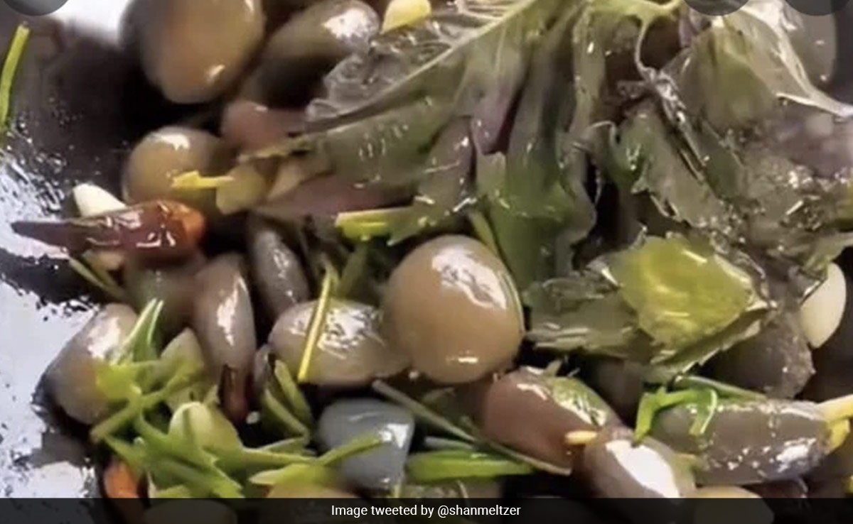 छोटे पत्थरों को फ्राई करके बड़े चाव से खा रहे हैं चीनी लोग, लोगों ने कहा- भाई पत्थरी हो जाएगी!