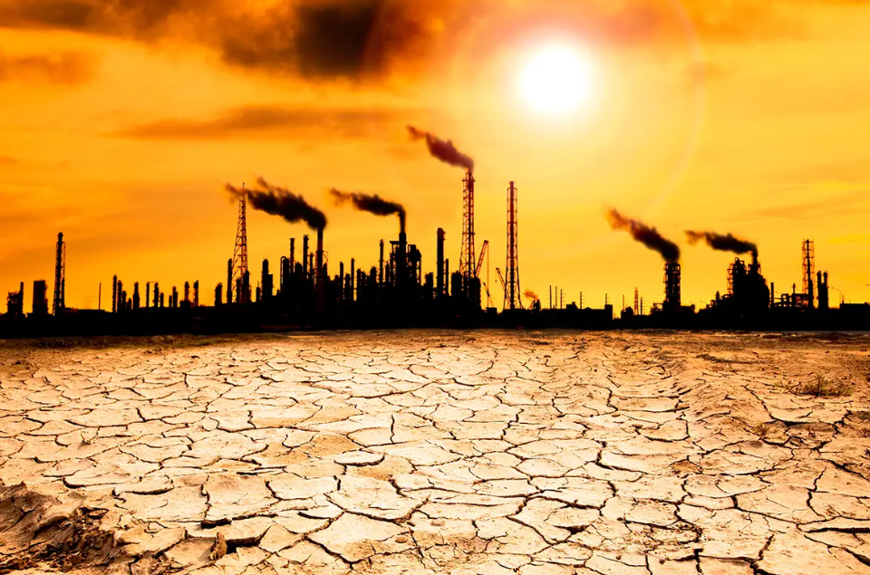 Scientists List Pressing Climate Issues: Ocean Warming, Rise In Dengue Among Key Issues
