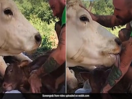 बच्चे को जन्म देने के बाद मदद करने वाले इंसान के प्रति गाय ने ऐसे जताया आभार, वीडियो देख इमोशनल हुए लोग बच्चे को जन्म देने के बाद मदद करने वाले इंसान के प्रति गाय ने ऐसे जताया आभार, वीडियो देख इमोशनल हुए लोग