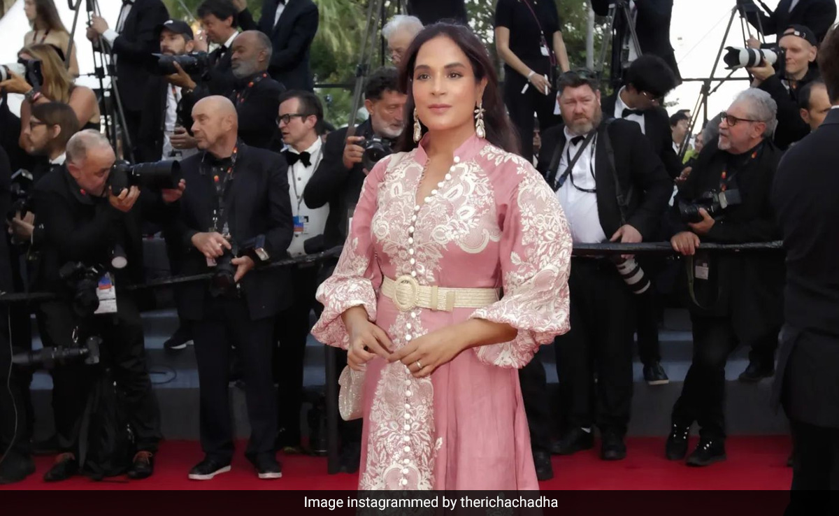 Richa Chadha Did Her Own Hair And Makeup For Cannes Red Carpet Look. 10/10 From The Internet