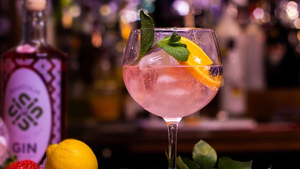 Types Of Gin Know All About Types Of Gin at NDTV Food