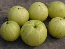 सर्दियों में रोज क्यों खाना चाहिए एक आंवला? जान जाएंगे ये 9 फायदे तो बिना खाए रह भी नहीं पाएंगे सर्दियों में रोज क्यों खाना चाहिए एक आंवला? जान जाएंगे ये 9 फायदे तो बिना खाए रह भी नहीं पाएंगे