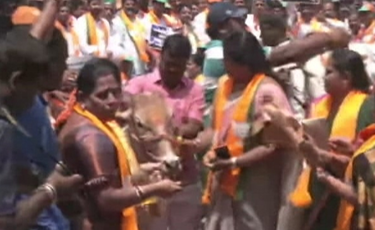 On Karnataka Minister's Cow Slaughter Remark, Siddaramaiah's Response
