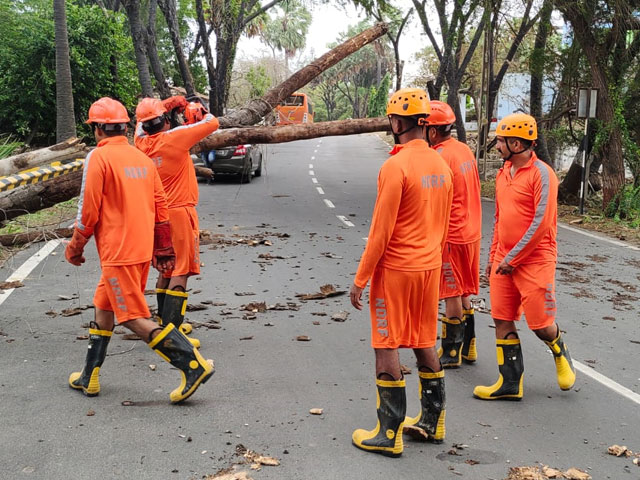 Video: Armed With Chainsaws, NDRF Teams Clear Trees Uprooted By Cyclone Biparjoy