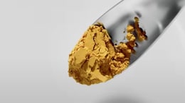 Finnish Start-Up Creates Revolutionary Protein Made From "Thin Air"
