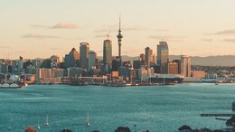 Top Universities In New Zealand As Per QS Rankings 2024