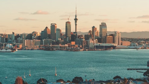 New Zealand Declares War, Will Eradicate 25 Lakh "Stone Cold Killers"