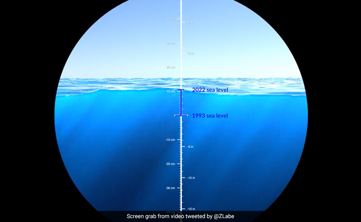 Video: NASA Tracks 30 Years of Sea Level Rise In A New Terrifying Animation