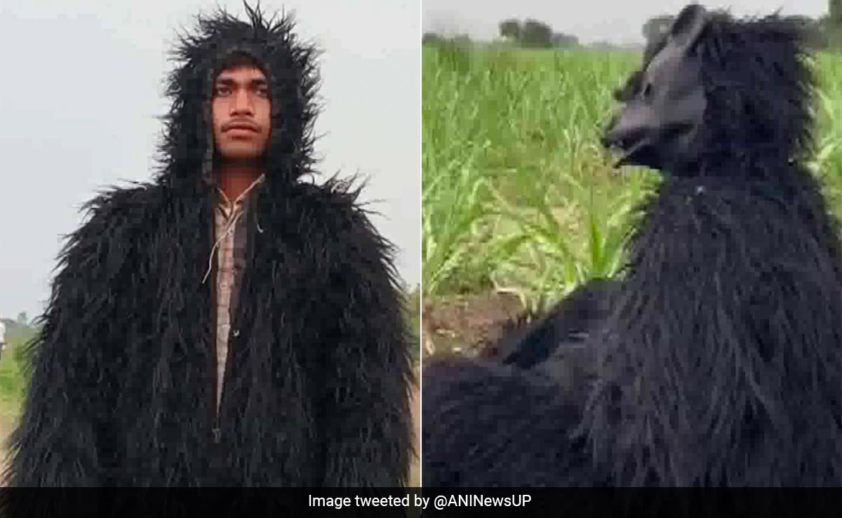 Watch: Farmers In UP Dress Up As Bears To Protect Crops From Monkeys