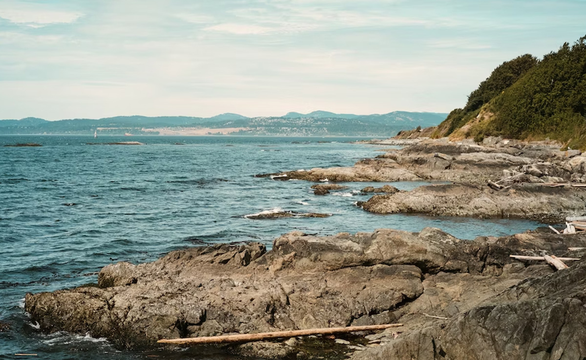 World Oceans Day 2023: From Natural Dyes To Reef-Safe Sunscreens, Here's How Brands Are Slowly Yet Steadily Helping Save Our Oceans